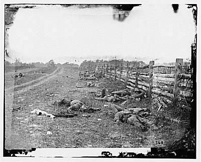 Dead Confederates at Antietam