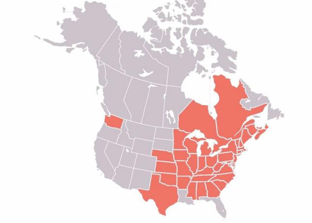 Distribuce syndromu bílého nosu v Severní Americe v roce 2018.