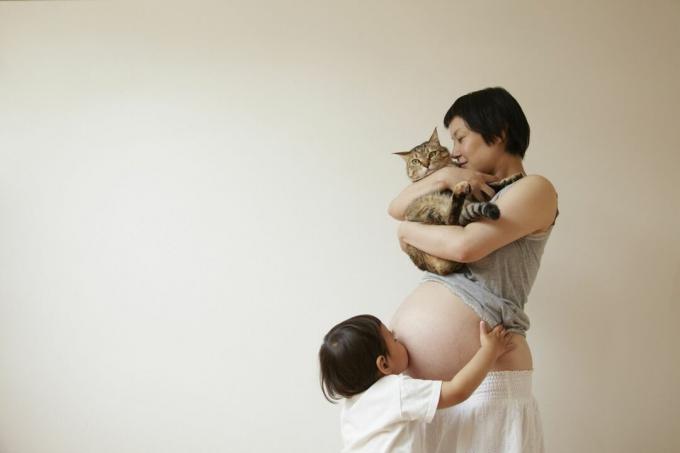Těhotná žena s kočkou