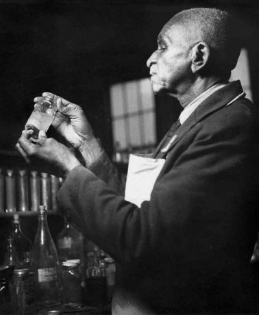 George Washington Carver v práci v Tuskegee v září 1938.