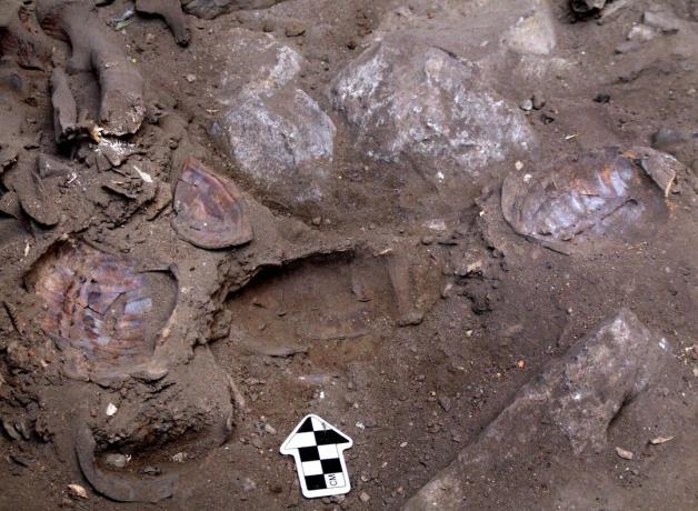 Izraelští archeologové objevují pohřeb Šimana