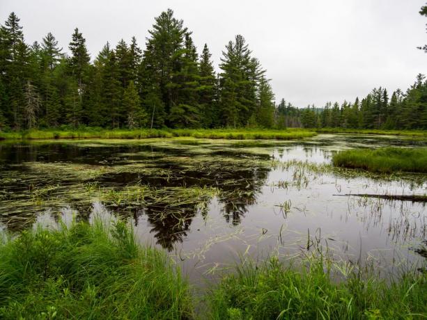 Národní památník Katahdin Woods and Waters