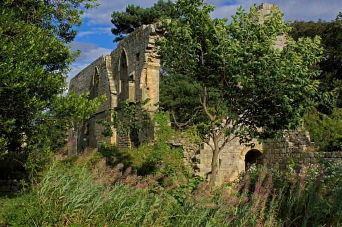 Opatství Jervaulx, poblíž Mashamu, North Yorkshire, Anglie