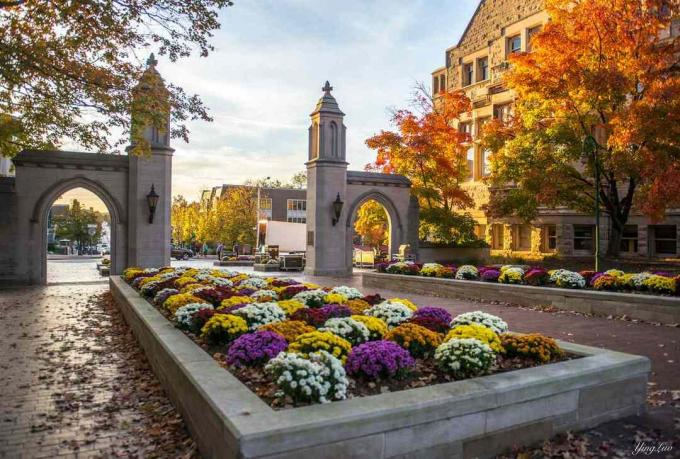 Love My School, zvláště na podzim - Indiana University of Bloomington