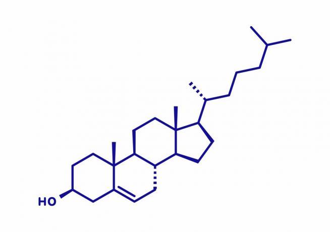 Molekula cholesterolu