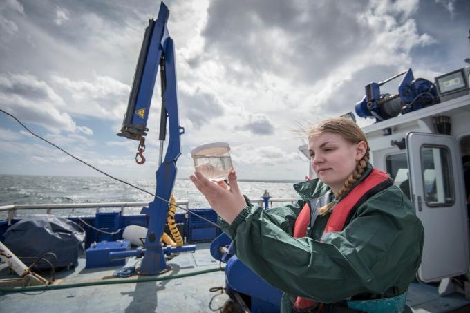 Ženské vědec inspekci vzorku planktonu na výzkumné lodi