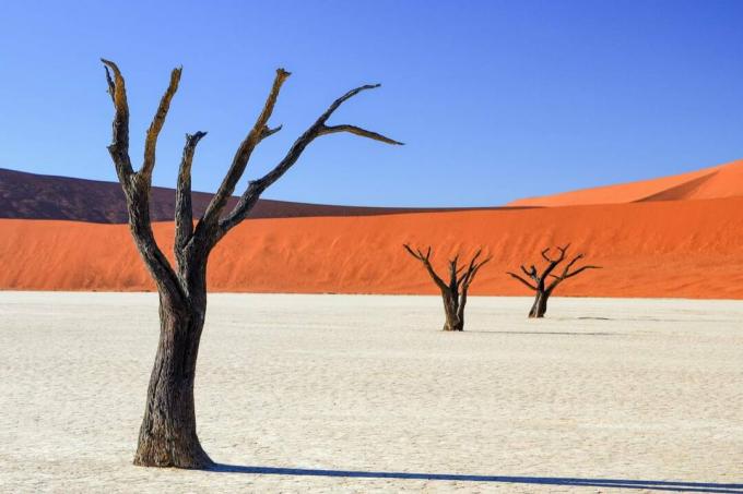 Poušť Dead Vlei Namib