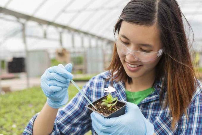 Asijské vysokoškolský student pracuje na botanice