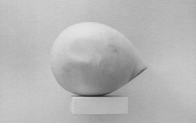 Constantin Brancusi vedoucí Prometheus