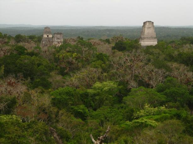 Tikal - základna rebelů