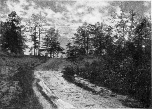 Místo, kde byl zajat Aaron Burr, poblíž Wakefield, Alabama.