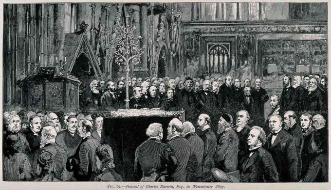 Pohřební obřad Charlese Darwina ve Westminsterském opatství, duben 1882