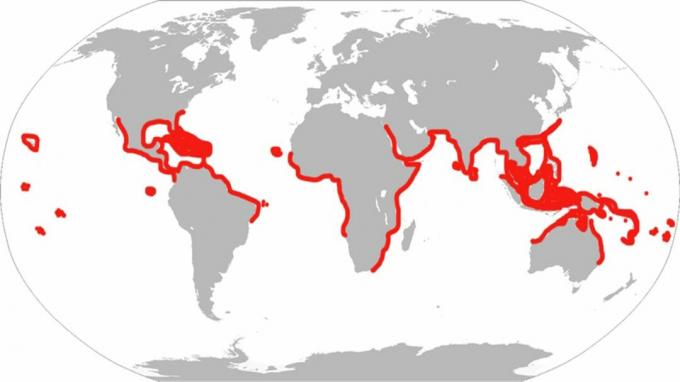 Toto je historický rozsah paprsků orla viditelného v minulosti. Podle moderní klasifikace ryby žijí pouze v Atlantiku, Karibiku a Perském zálivu.
