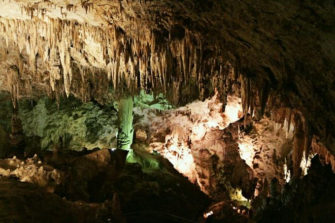 Národní park Carlsbad Caverns