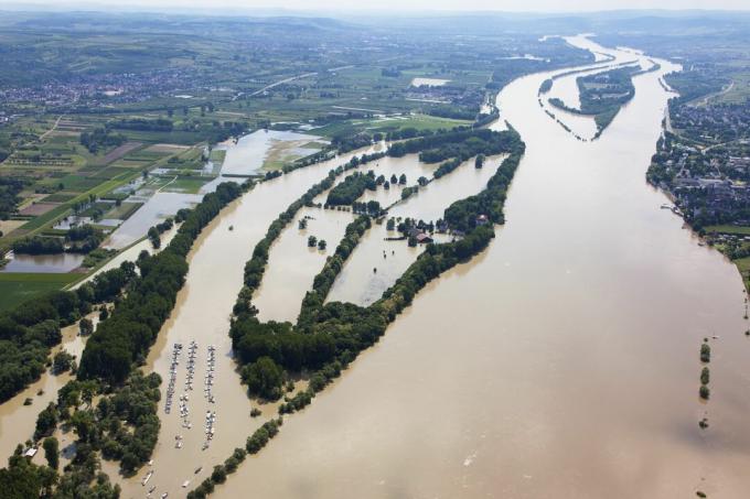 Německo, Hesensko, Eltville, povodeň řeky Rýnský ostrov Koenigskling Aue, letecká fotografie