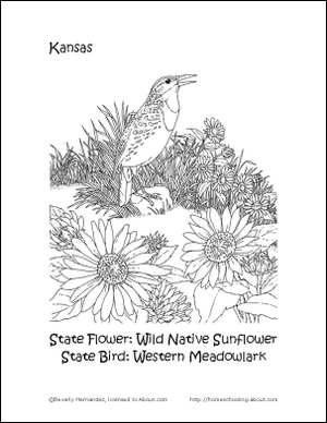 Kansas State Flower a State Bird Coloring Page